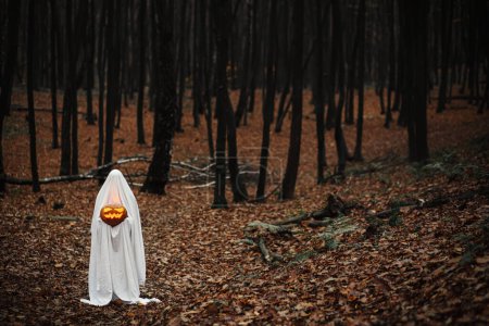 Téléchargez les photos : Fantôme effrayant tenant Jack o lanterne rougeoyante dans la forêt d'automne sombre et humide. Personne habillée en drap blanc comme fantôme avec citrouille debout dans les bois d'automne du soir. Joyeux Halloween ! Trick ou traiter - en image libre de droit