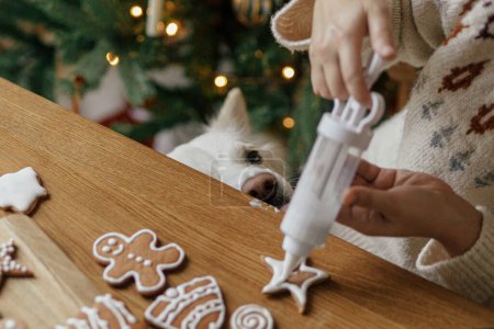 Téléchargez les photos : Mains décorer biscuits au pain d'épice avec glaçage et chien mignon aider à déguster et lécher la pâte à sucre sur fond de lumières dorées de Noël. Vacances de Noël dans l'atmosphère, animaux domestiques et temps de famille - en image libre de droit