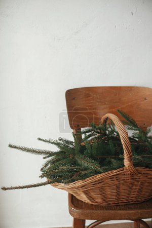 Téléchargez les photos : Panier rustique élégant avec branches de sapin sur chaise en bois contre le mur rural dans la chambre scandinave. Noël rustique simple nature morte. Joyeux Noël et Joyeuses fêtes! - en image libre de droit