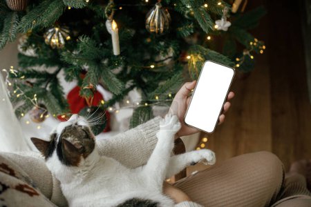 Foto de El teléfono de Navidad se burla. Mano sosteniendo smartphone con pantalla vacía y abrazando lindo gato contra elegante árbol de Navidad con luces doradas. Espacio para el texto. Plantilla de aplicación de publicidad Navidad - Imagen libre de derechos