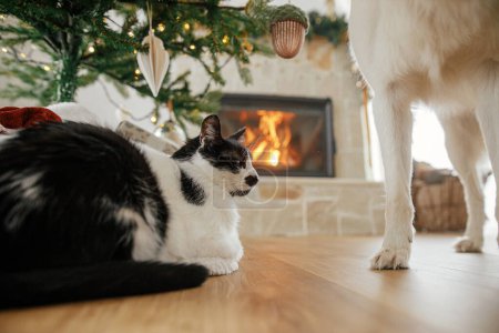 Téléchargez les photos : Chat mignon assis sous des cadeaux élégants arbre de Noël sur fond de cheminée en feu. Adorable chat relaxant dans le salon décoré de Noël. Animaux domestiques et vacances d'hiver - en image libre de droit
