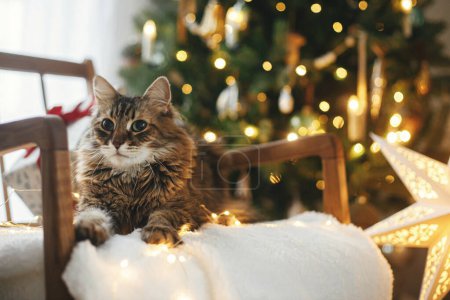 Téléchargez les photos : Mignon chat tabby couché avec des cadeaux de Noël élégants et des lumières dorées sur un fauteuil confortable sur fond d'arbre de Noël décoré élégant. Animaux de compagnie et vacances d'hiver. Atmosphérique magique veille de Noël - en image libre de droit