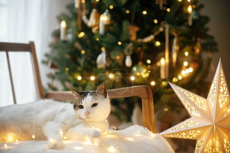 Foto de Lindo gato acostado en el sillón entre las luces de Navidad doradas en el fondo del elegante árbol de Navidad decorado. Mascotas y vacaciones de invierno, gatito jugando con la iluminación. Atmosférico acogedor navidad - Imagen libre de derechos