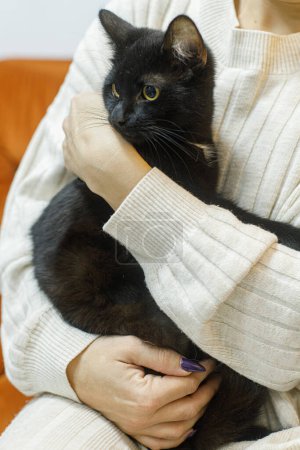 Téléchargez les photos : Adorable chat noir dans les mains de la femme dans la chambre. Concept d'adoption des animaux. Personne en pull confortable étreignant chat effrayé mignon relaxant sur le lit - en image libre de droit