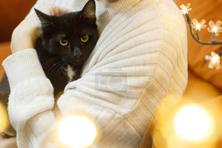 Foto de Adorable gato negro en manos de mujer en la habitación con luces doradas. Concepto de adopción de mascotas. Persona en suéter acogedor abrazando lindo gato asustado en la cama - Imagen libre de derechos