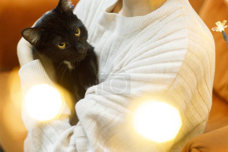 Téléchargez les photos : Adorable chat noir dans les mains de la femme dans la chambre avec des lumières dorées. Concept d'adoption des animaux. Personne en pull confortable étreignant chat effrayé mignon sur le lit - en image libre de droit