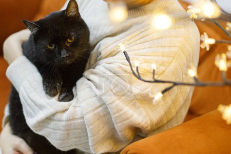 Téléchargez les photos : Adorable vieux chat noir assis dans les mains de la femme dans la chambre avec des lumières de Noël. Concept d'adoption des animaux. Personne en pull confortable étreignant chat effrayé mignon - en image libre de droit