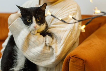 Téléchargez les photos : Adorable chat noir et blanc assis dans les mains de la femme dans la chambre avec des lumières de Noël. Concept d'adoption des animaux. Personne en pull confortable étreignant chat effrayé mignon sur le lit - en image libre de droit