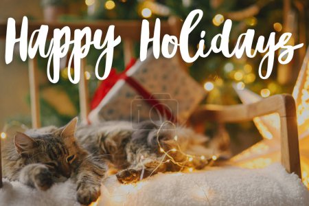 Téléchargez les photos : Joyeux Noël texte sur le chat mignon couché avec des cadeaux de Noël élégants et des lumières dorées sur une chaise confortable contre l'arbre de Noël. Joyeux Noël. La carte de voeux de la saison. Panneau manuscrit - en image libre de droit