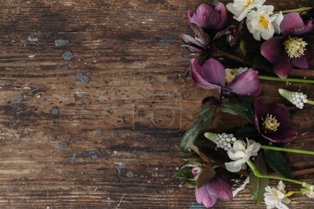 Photo for Spring flowers rustic flat lay. Beautiful helleborus, muscari, daffodils on aged wooden background. First spring flowers gardening. Floral spring countryside decor - Royalty Free Image