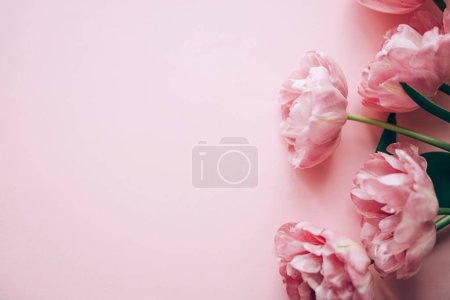 Téléchargez les photos : Belles tulipes roses à plat posé sur fond rose. Bordure florale élégante avec espace pour le texte. Bonne Saint-Valentin et bonne fête des mères. Modèle de fleurs rose tendre - en image libre de droit