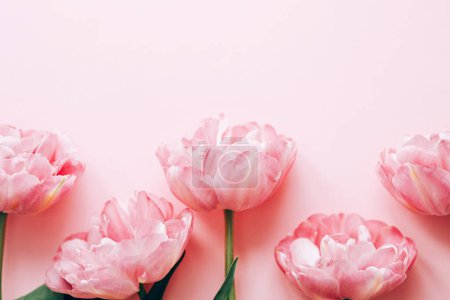 Photo for Beautiful pink tulips flat lay on pink background. Stylish floral border with space for text. Happy Valentines day and happy mother's day. Tender pink flowers template - Royalty Free Image