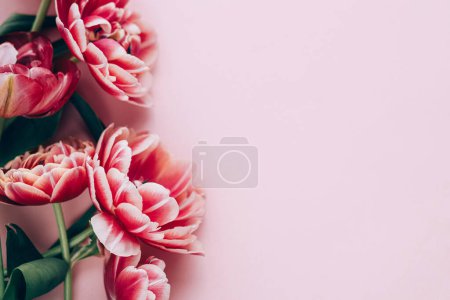 Téléchargez les photos : Belles tulipes rouges à plat posées sur fond rose. Bordure florale élégante avec espace pour le texte. Bonne Saint-Valentin et bonne fête des mères. Modèle de fleurs roses et rouges tendres - en image libre de droit