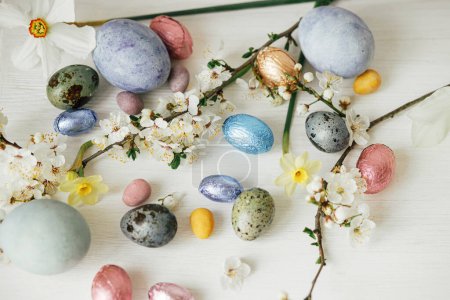 Foto de Pascuas planas. Elegantes huevos de Pascua y flor de cerezo en la mesa rústica blanca. ¡Feliz Pascua! Modernos huevos naturales teñidos y de chocolate y flores de primavera. Banner de Pascua - Imagen libre de derechos