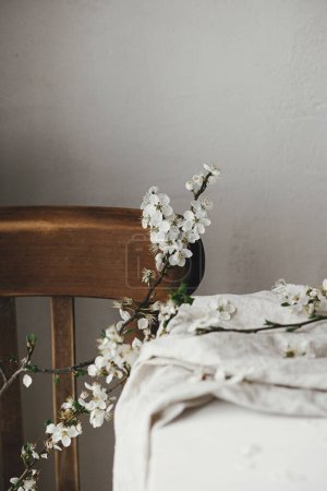 Photo for Beautiful cherry branch on linen cloth on white table and rustic wooden chair composition. Spring country still life. White cherry blossom flowers banner - Royalty Free Image
