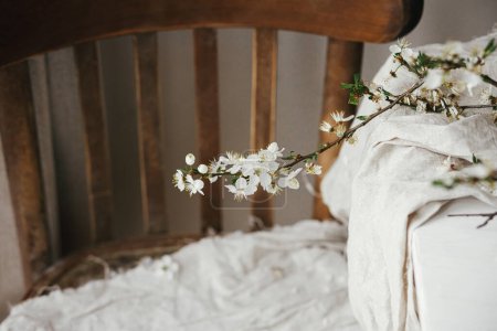 Téléchargez les photos : Belle branche de cerisier sur toile de lin sur table blanche et chaise rustique en bois. Printemps pays nature morte. Bannière de fleurs de cerisier blanc - en image libre de droit