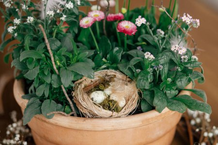 Téléchargez les photos : Œufs de Pâques élégants avec plume dans le nid et fleurs de printemps en pot composition fermer sur la table. Joyeux Pâques ! Décor de table de Pâques simple dans le salon de la ferme - en image libre de droit