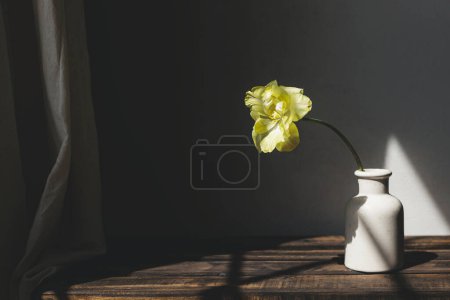Photo for Beautiful yellow tulip on aged wooden bench on background of grey wall in sunlight. Spring flower in vase rustic still life. Floral wallpaper. Happy Mothers day. Copy space - Royalty Free Image