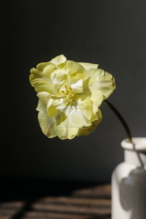 Photo for Stylish spring bouquet on rustic wooden bench. Beautiful yellow tulip in  vase in sunlight on background of grey wall. Floral still life. Happy Mothers day - Royalty Free Image