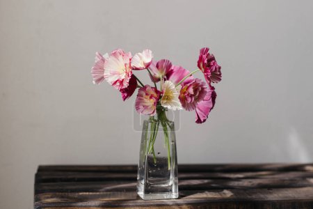 Summer flowers in vase, rustic still life. Beautiful pink california poppy on aged wooden bench. Floral moody wallpaper. Space for text