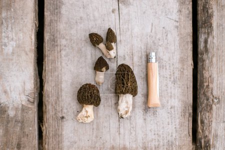 Morchella-Pilze und Messer auf hölzernem Hintergrund lagen flach. Echte Morcheln. Morchella esculenta ernten, Raum kopieren. Delikatesse Pilze, köstliche Speisepilze