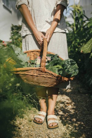 Vida hogareña y permacultura. Manos sosteniendo cesta con col, calabacín, verduras de cerca en el jardín orgánico urbano. Cosechar verduras de la cama de jardín elevada.