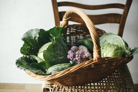Légumes bio frais dans le panier en osier fermer dans la cuisine rurale. Récolte des légumes du jardin biologique urbain, mode de vie des fermes. Chou, courgettes, légumes verts dans le panier sur chaise rustique