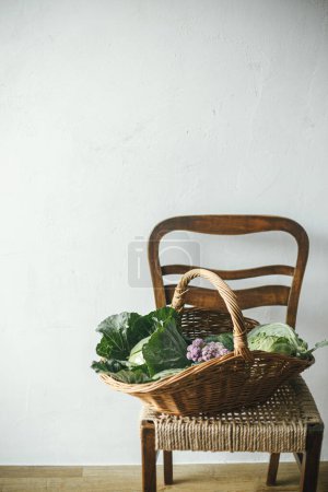 Cesta de mimbre con col, calabacín, verduras en silla rústica de cerca en la habitación. Cosechar verduras del jardín orgánico urbano, estilo de vida hogareño.