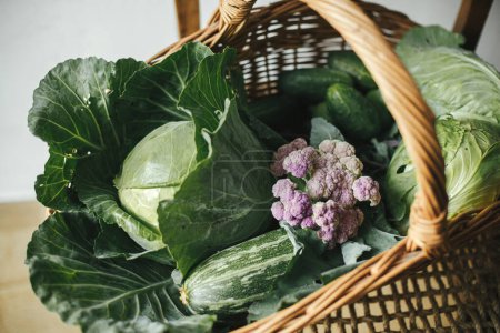 Légumes bio frais dans le panier en osier fermer dans la cuisine rurale. Récolte des légumes du jardin biologique urbain, mode de vie des fermes. Chou, courgettes, légumes verts dans le panier sur chaise rustique