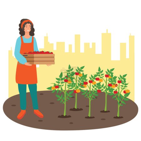 Ilustración de Una mujer está recogiendo verduras en el jardín urbano. - Imagen libre de derechos