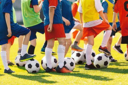 Photo for Soccer Training For Little School Children. Group of Kids With Football Soccer Balls at Training Class. Boys and Girls Having Fun at Sports Practice on Summer Day - Royalty Free Image