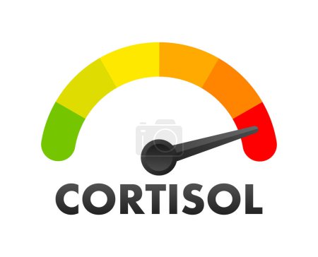 Illustration for Cortisol Level Meter, measuring scale. Cortisol Level speedometer indicator. Vector illustration - Royalty Free Image