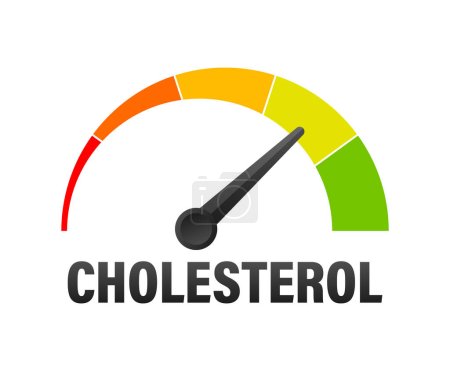 Illustration for Cholesterol Level Meter, measuring scale. Cholesterol speedometer indicator. Vector illustration - Royalty Free Image