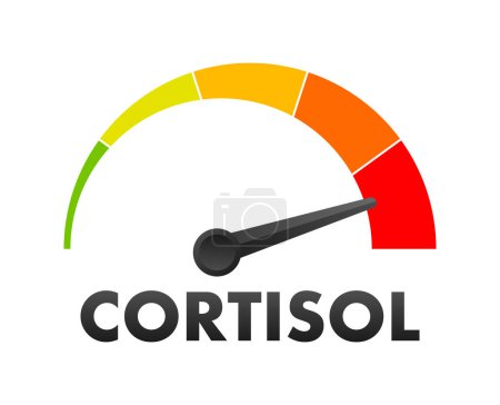 Illustration for Cortisol Level Meter, measuring scale. Cortisol Level speedometer indicator. Vector illustration - Royalty Free Image