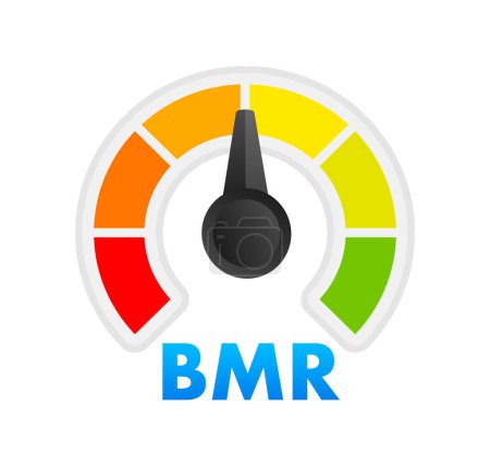 Illustration for BMR Level Meter, measuring scale. Basal Metabolic Rate Level speedometer indicator. Vector illustration - Royalty Free Image