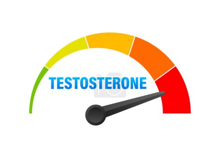Testosteronspiegel-Messgerät, Messskala. Hormon Testosteron-Tachoanzeige. Vektorillustration