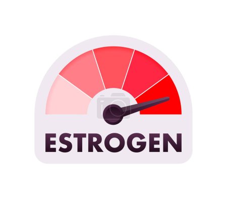 Estrogen Level Meter, measuring scale. Estrogen speedometer. Vector illustration