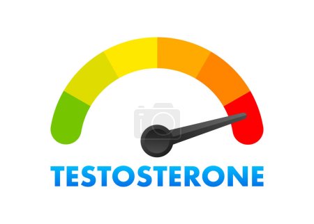Testosteronspiegel-Messgerät, Messskala. Hormon Testosteron-Tachoanzeige. Vektorillustration