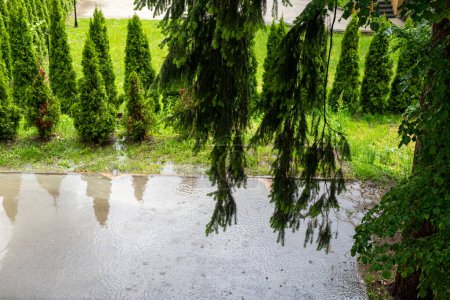 Photo for Raindrop circles while raining over a park during the day - detail - Royalty Free Image