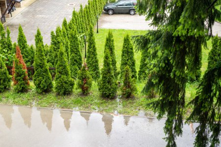 Photo for Raining over a garden and a parking lot during the day - detail - Royalty Free Image