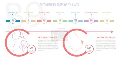 Téléchargez les illustrations : Recommandations posologiques d'acide folique selon l'âge et aussi si la période est la grossesse ou l'allaitement. - en licence libre de droit