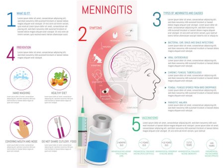 Infographic of Meningitis, symptoms, types, prevention and vaccines with corresponding icons. eps 10 vector.