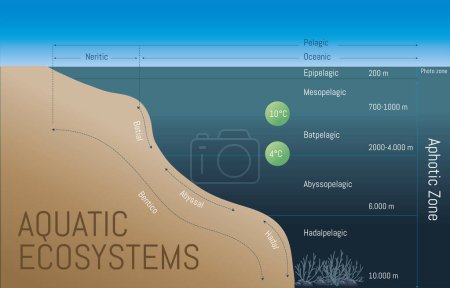 Illustration for Diagram with description of water bodies layers. Geological division. - Royalty Free Image