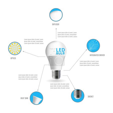 Illustration for Infographic of the different types of light bulbs and some numerical data about them. - Royalty Free Image