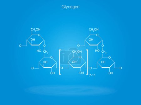 Estructura química del glucógeno sobre fondo azul