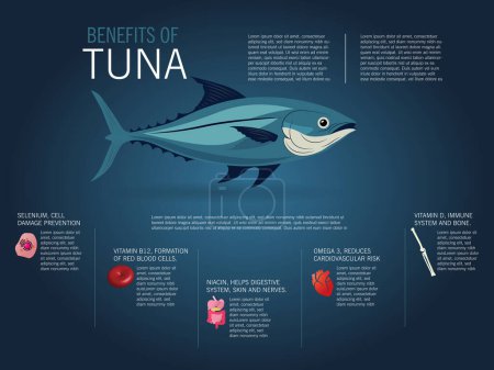 Infografía de los beneficios de comer atún, ilustración de un atún y por debajo de los beneficios para la salud con iconos y espacio para un texto más detallado.