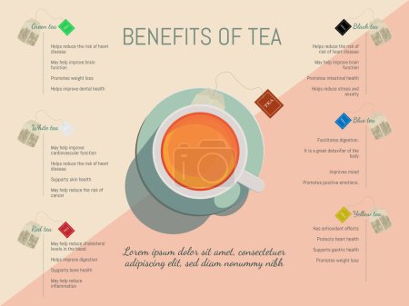 Téléchargez les illustrations : Infographie d'une tasse de thé au centre des images et entouré de différents types de thé et de leurs avantages. - en licence libre de droit