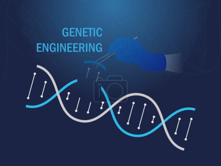Ilustración de Una hebra de ADN azul y gris con una pinza de mano, simulando la extracción de una zona de ADN. La imagen se titula "Ingeniería Genética - Imagen libre de derechos