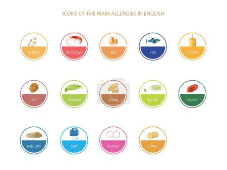 Téléchargez les illustrations : L'image est une collection de cercles de différentes couleurs, chacun avec un symbole représentant les différentes allergies alimentaires.Texte en anglais - en licence libre de droit