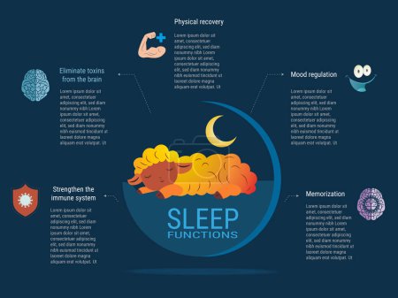 Sleep functions are important for the body. The sheep in the image is sleeping, which is a sign of good health. The image also shows the importance of sleep for the immune system